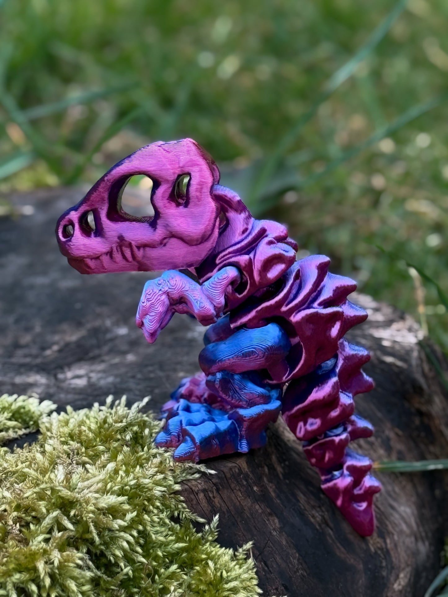 Skeleton T-Rex Dinosaur Articulated